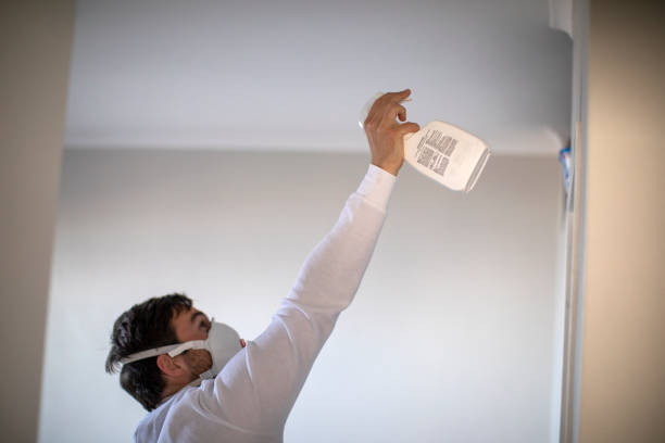 Best Commercial Mold Remediation in Lincoln Park, MI