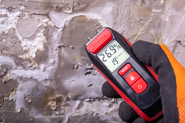 Professional Mold Remediation in Lincoln Park, MI