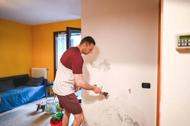 Best Emergency Mold Remediation in Lincoln Park, MI